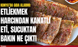Konya’da gıda alarmı: Etliekmek harcından kanatlı eti, sucuktan bakın ne çıktı