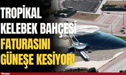 Konya Tropikal Kelebek Bahçesi faturasını güneşe kesiyor!
