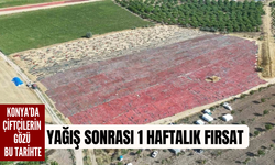 Konya’da çiftçilerin gözü bu tarihte: Yağış sonrası 1 haftalık fırsat