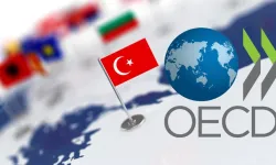 Türkiye OECD ülkeleri arasında puanını en çok artıran ülke oldu