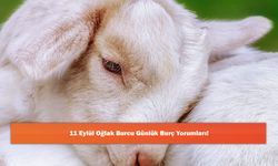 11 Eylül Oğlak Burcu Günlük Burç Yorumları!
