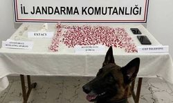 Yolcu otobüsünde madde taşıdılar