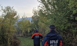Ormana gitmişti! Küçük çocuktan haber alınamıyor…