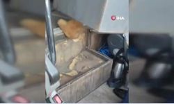 Kaçak göçmenler öyle bir yerde yakalandılar ki…