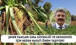 Şeker pancarı gıda güvenliği ve ekonomisi için neden hayati önem taşıyor?