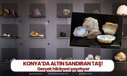 Konya’da altın sandıran taş! Gerçek hikâyesi şaşırtıyor
