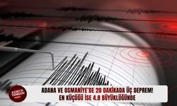 Adana ve Osmaniye'de 20 dakikada üç deprem!