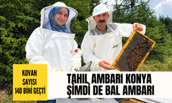 Tahıl ambarı Konya şimdi de bal ambarı: Kovan varlığı 140 bini aştı