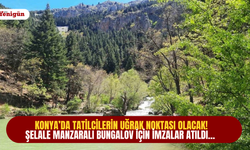 Konya’da tatilcilerin uğrak noktası olacak! Şelale manzaralı bungalov için imzalar atıldı…