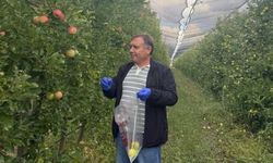 Ekipler güvenilir gıda için her daim sahadalar!