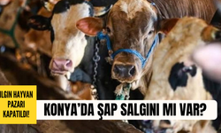 Konya’da şap alarmı! Ilgın Hayvan Pazarının kapısına kilit vuruldu!