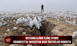Cihanbeyli’de enverziyon riski üreticileri korkuttu