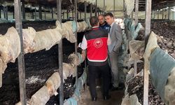 Akören’de yerinde inceleme ve sahada denetim!