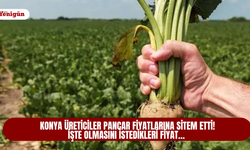 Konya üreticiler pancar fiyatlarına sitem etti! İşte olmasını istedikleri fiyat…