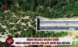 Konya-Aksaray hattına ekolojik köprü inşa edilecek!