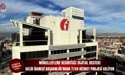Gelir İdaresi Başkanlığı'ndan 7/24 hizmet projesi geliyor