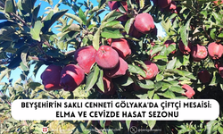 Beyşehir'in saklı cenneti Gölyaka'da çiftçi mesaisi: Elma ve cevizde hasat sezonu