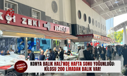 Konya Balık Hali'nde hafta sonu yoğunluğu: Kilosu 200 liradan balık var!