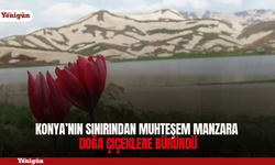 Konya’nın sınırından muhteşem manzara; doğa çiçeklere büründü