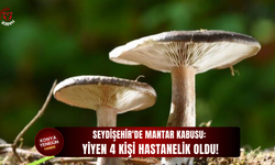 Seydişehir'de mantar kâbusu: Yiyen 4 kişi hastanelik oldu!