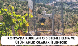Konya'da kurulan o sistemle elma ve üzüm anlık olarak izlenecek