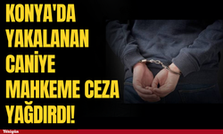 Konya'da yakalanan caniye mahkeme ceza yağdırdı