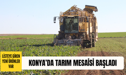 Tarımın başkentinde tarlalar hareketlendi: Listede yeni ürünler var