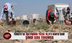 Türkiye’nin patates üretiminin yüzde 10,9’u Konya’dan! Şimdi sıra tohumda
