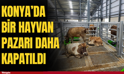 Konya’da şap tedbiri büyüyor! Bir hayvan pazarı daha kapandı