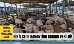 Konya’da hayvan pazarlarında alarm! Akşehir’de karantina kararı!