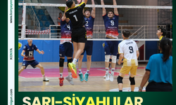 Sarı-siyahlılar filelerden fırtına gibi geçti