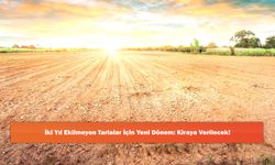 İki Yıl Ekilmeyen Tarlalar İçin Yeni Dönem: Kiraya Verilecek!