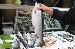 Doğu Karadeniz'in somon ihracatı yüzde 41 arttı