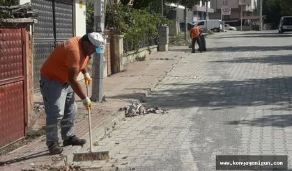 Beyşehir Belediyesi  sonbahar temizliği yapıyor