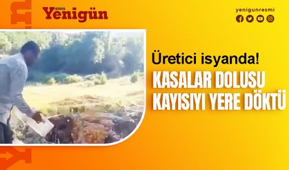 Kasalar dolusu kayısıyı dereye döktü