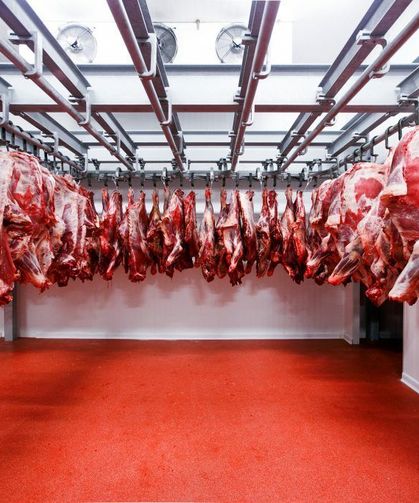 Kesimhanelerde yeni dönem başlıyor! Bakan Yumaklı açıkladı: Kamera sistemi ve yeni kurallar zorunlu olacak