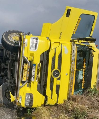 TIR devrildi içindeki angus cinsi hayvanlar kayıplara karıştı
