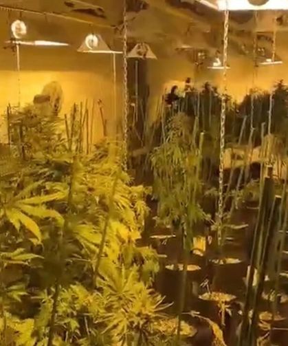 Apartmandaki şüpheli koku polisi harekete geçirdi! Kapı açılınca ekipler gözlerine i̇nanamadı
