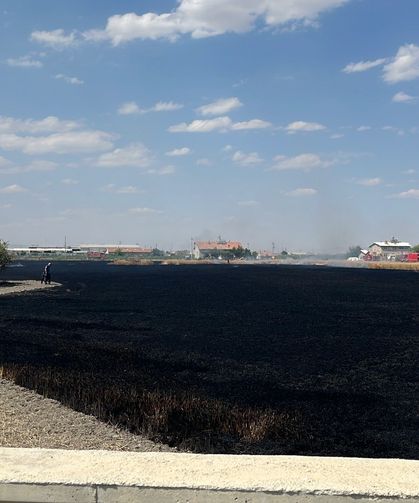 Besi çiftliğinin yanındaki tarla yangını mahalleyi ayağa kaldırdı!