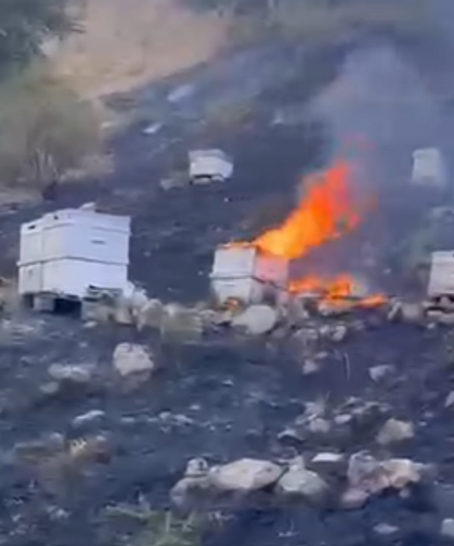 Yangın alarmı! Alevler kısa sürede yayılınca ekipler seferber oldu