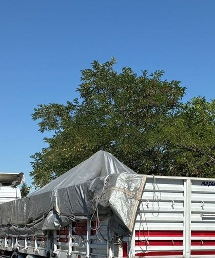 Konya güzergahında kaçakçılık operasyonu: Tır dorsesinden 14 düzensiz göçmen çıktı!