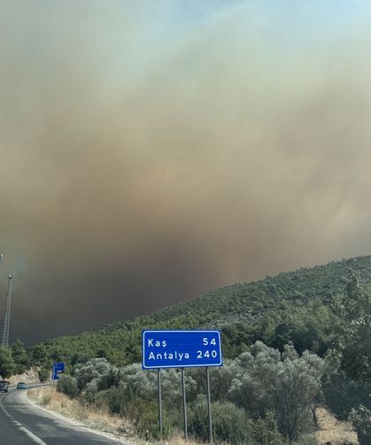 Muğla'daki yangın Antalya'ya sıçradı!