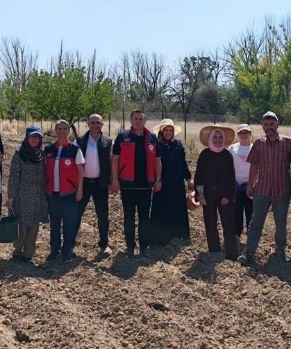 Çumra’da "kırmızı altın" toprakla buluştu!