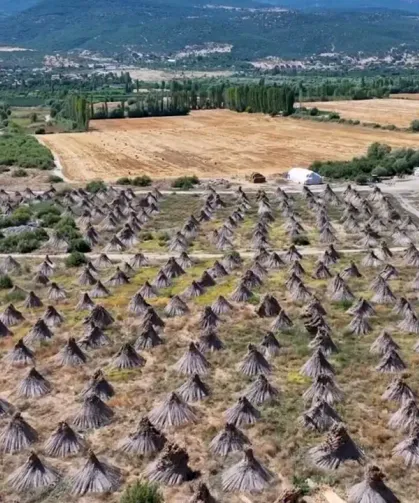 Konya’nın doğal serveti dünyaya açılıyor!