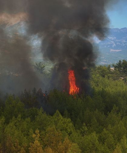 Antalya'daki yangına Konya'dan büyük destek...