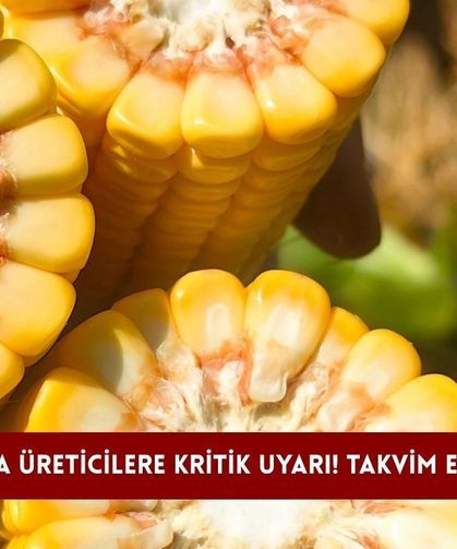Konya'da üreticilere kritik uyarı! Takvim ertelendi...