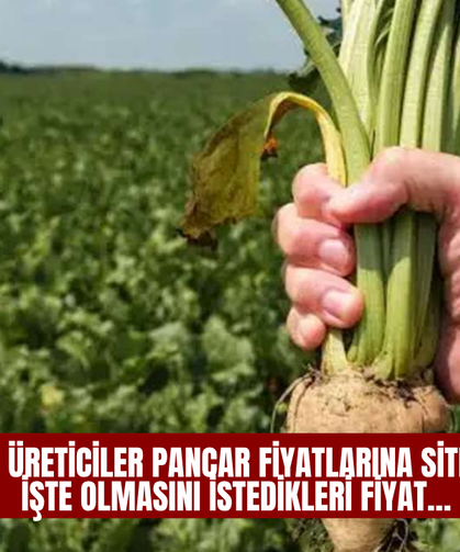 Konya üreticiler pancar fiyatlarına sitem etti! İşte olmasını istedikleri fiyat…