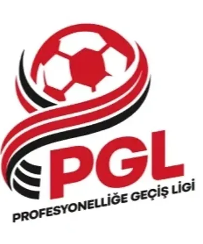 PGL 12. grupta Konya'dan 3 takım yer aldı
