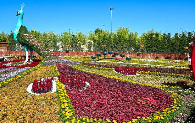 375 bin adet çiçekle donatılan parka Konyalılardan yoğun ilgi