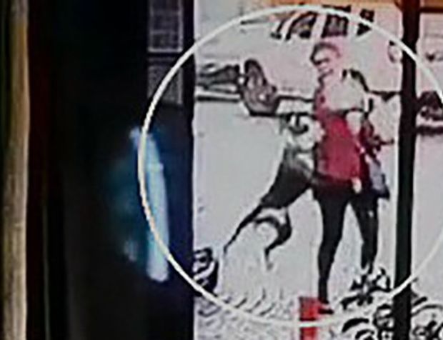 Pitbull dehşeti kamerada